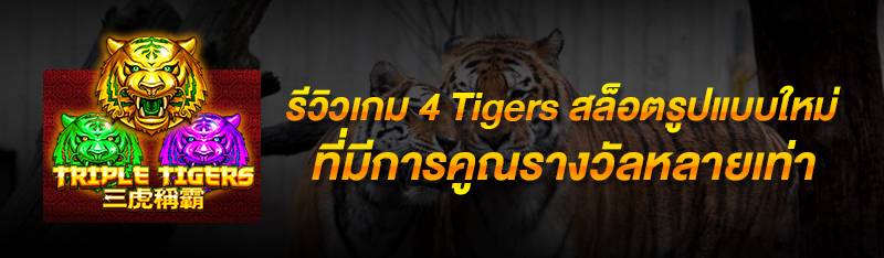 รีวิวเกม 4 Tigers สล็อตรูปแบบใหม่ที่มีการคูณรางวัลหลายเท่า