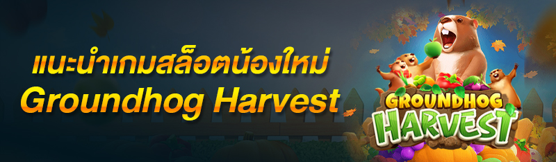 แนะนำเกมสล็อตน้องใหม่ Groundhog Harvest 